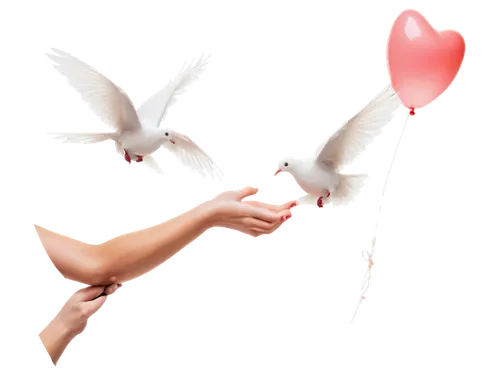 doves of peace,dove of peace,winged heart,heart clipart,birds with heart,valentine clip art,love bird,for lovebirds,valentine's day clip art,handing love,doves,flying heart,heart in hand,doves and pigeons,two hearts,peace dove,heart balloon with string,cupid,love in air,heart balloons,Illustration,Realistic Fantasy,Realistic Fantasy 22