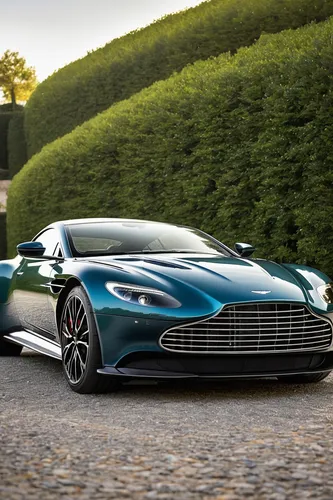 Aston Martin said the likelihood of gathering so many of the highly sought-after models together once they have been all been handed over next year is 'remote',aston martin vanquish,aston martin,aston