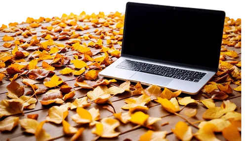 laptop keyboard,yellow leaves,apple kernels,apple macbook pro,laptop accessory,dried lemon slices,gold leaves,dried petals,wood chips,apple desk,laptop screen,autumn leaf paper,macbook,macbook pro,laptop,leaves case,chocolate shavings,laptops,pumpkin seeds,sunflower lace background,Art,Artistic Painting,Artistic Painting 47