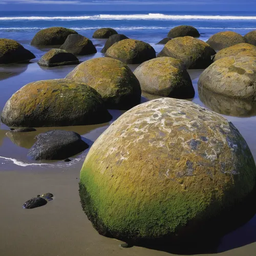 background with stones,balanced pebbles,sandstone rocks,stone ball,canarian wrinkly potatoes,rock erosion,ruby beach,sand dollar,rock forms,periwinkles,salt rocks,boulders,tetrapods,rocks,stacked rocks,rock formation,zen rocks,balanced boulder,rock weathering,kiwi halves,Art,Classical Oil Painting,Classical Oil Painting 43