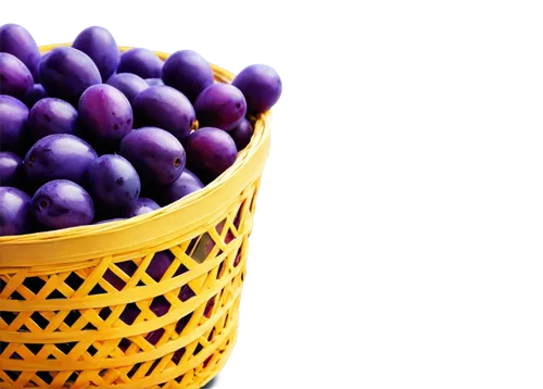 purple grapes,blue grapes,wavelength,purple,grape hyacinth,grape hyacinths,blue grape hyacinth,defends,bright grape,grape hyancinths,purple wallpaper,wall,common grape hyacinth,elder berries,cinema 4d,grape,grapes,purple background,basket of chocolates,beautyberry,Conceptual Art,Daily,Daily 22