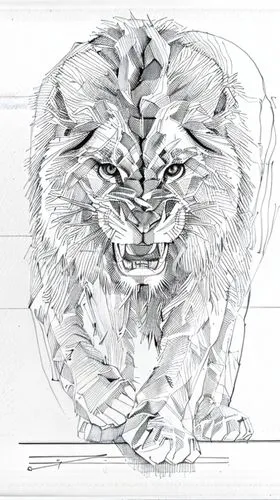 lion white,lion head,lion,stone lion,panthera leo,lion capital,tiger head,line art animal,female lion,lion number,white lion,line art animals,a tiger,male lion,two lion,white tiger,tiger png,forest king lion,animal line art,tiger,Design Sketch,Design Sketch,Hand-drawn Line Art