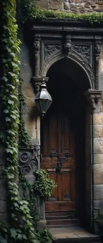 doorway,church door,kykuit,creepy doorway,entrada,entranceway,doorways,front door,the door,entrances,old door,garden door,the threshold of the house,princeton,entryway,portal,doorstep,entryways,house entrance,entranceways,Conceptual Art,Sci-Fi,Sci-Fi 11