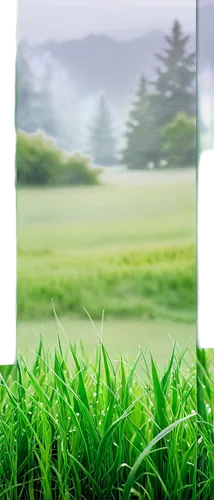 golf course background,nature background,windows wallpaper,landscape background,aaaa,green wallpaper,aaa,blur office background,background view nature,backgrounds texture,free background,background bokeh,3d background,mirror in the meadow,spring background,youtube background,golf course grass,cartoon video game background,green background,green landscape,Unique,Paper Cuts,Paper Cuts 07