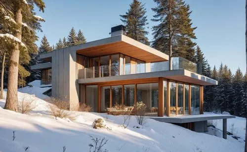 snow house,winter house,timber house,the cabin in the mountains,house in the mountains,avalanche protection,chalet,house in mountains,snow roof,snowhotel,forest house,snow shelter,inverted cottage,small cabin,monashee,cubic house,wooden house,house in the forest,snohetta,bohlin,Photography,General,Realistic