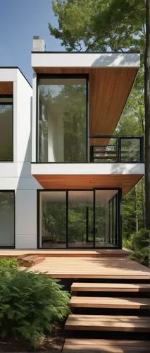 modern house,sketchup,3d rendering,cubic house,prefab,modern architecture,cantilevers,mid century house,frame house,revit,cantilevered,renderings,timber house,passivhaus,renders,render,new england style house,prefabricated,dunes house,forest house,Photography,Black and white photography,Black and White Photography 14