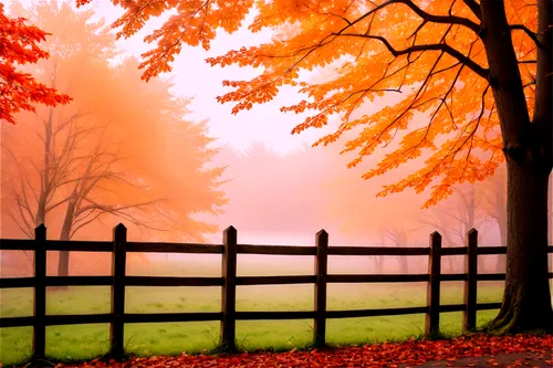 autumn fog,autumn background,foggy landscape,autumn landscape,autumn scenery,fall landscape,autumn morning,autumn forest,autumn idyll,colors of autumn,morning mist,wooden fence,autumn day,just autumn,landscape background,autumn,pasture fence,autumn frame,the autumn,autumn tree,Illustration,Japanese style,Japanese Style 15