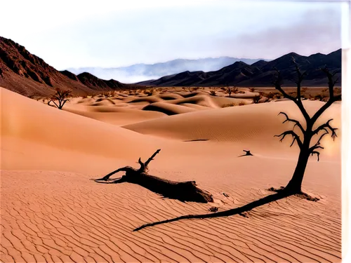 Death Valley, desert landscape, sandy dunes, rocky formations, cracked earth, dry trees, skeletons of dead animals, vast emptiness, eerie atmosphere, warm color tone, high contrast, dramatic lighting,