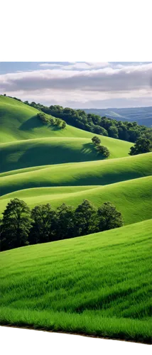 green landscape,green fields,windows wallpaper,green wallpaper,wiltshire,rolling hills,wolds,palouse,south downs,farmland,moravia,greenness,landscape background,kericho,greenfields,greenfeld,greensward,green,greener,green meadow,Illustration,Abstract Fantasy,Abstract Fantasy 21