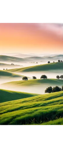 foggy landscape,palouse,rolling hills,landscape background,green landscape,windows wallpaper,moravia,beautiful landscape,grasslands,nature landscape,fog banks,morning mist,landscape nature,meadow landscape,green fields,toscane,mists,sea of fog,nature wallpaper,grassland,Photography,Artistic Photography,Artistic Photography 02