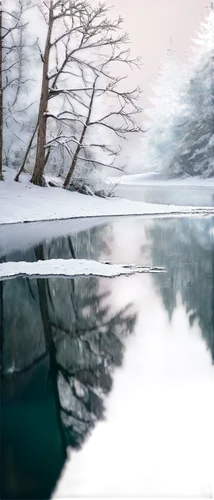 winter lake,winter background,waterscape,mirror water,winter landscape,reflection in water,ice landscape,frozen lake,pond,frozen water,water scape,winter dream,reflections in water,snowmelt,diptychs,water mirror,virtual landscape,winter forest,stereoscopic,diptych,Illustration,American Style,American Style 11