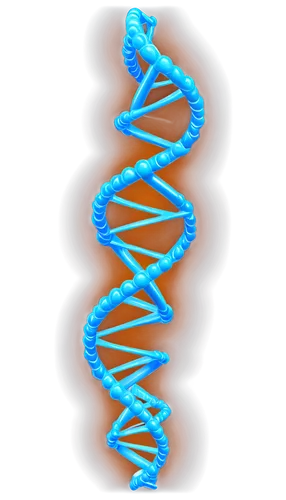 dna helix,dna,dna strand,nucleotide,rna,deoxyribonucleic acid,genetic code,biosamples icon,the structure of the,isolated product image,double helix,png image,biological,limicoles,trisomy,bio,aa,pcr test,cell structure,mutation,Conceptual Art,Fantasy,Fantasy 34