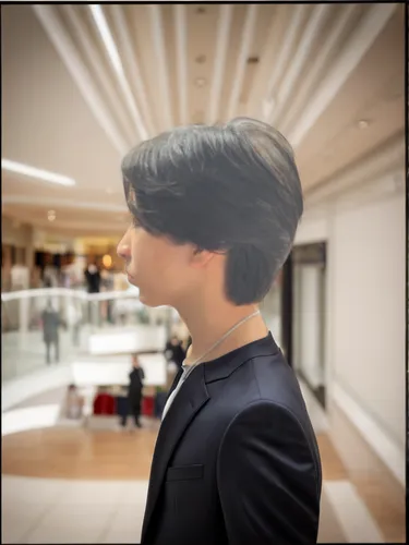 bowl cut,pompadour,smooth hair,asian semi-longhair,stylograph,asymmetric cut,mullet,british semi-longhair,management of hair loss,half profile,semi-profile,caesar cut,fountain head,back of head,male elf,oriental longhair,the long-hair cutter,hair loss,pomade,bouffant