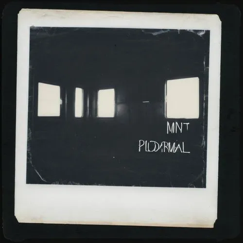 polaroid,polaroid photos,pinhole,tional,instamatic,endital,Photography,Documentary Photography,Documentary Photography 03