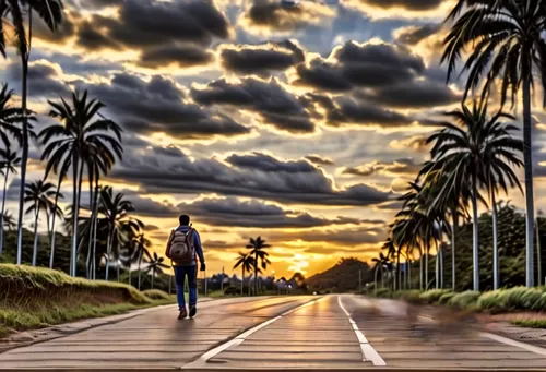 the road to the sea,road of the impossible,long road,the road,open road,landscape photography,road,country road,straight ahead,bicycle path,pathway,maspalomas,landscape background,crossroad,road to nowhere,roadway,woman walking,empty road,palm forest,canary islands