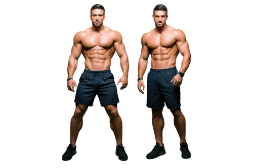 pair of dumbbells,derivable,six pack abs,obliques,clenbuterol,abdominals,personal trainer,athletic body,physiques,fitness model,polykleitos,muscularity,physique,fitness coach,fat loss,body building,sadik,carnitine,fitnes,dumbbells,Art,Classical Oil Painting,Classical Oil Painting 04