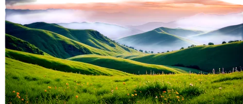 landscape background,alpine landscape,meadow landscape,mountain meadow,mountainous landscape,mountain landscape,mountain pasture,green landscape,grasslands,nature background,alpine meadow,nature landscape,alpine pastures,grassland,green meadow,rice terraces,background view nature,landscape nature,kudremukh,munnar,Illustration,Retro,Retro 24