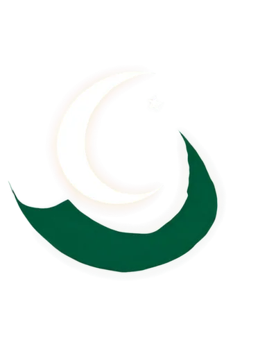 Pakistan flag, waving, green and white colors, crescent moon, five-rayed star, fluttering in wind, morning sunlight, soft focus, 3/4 composition, horizontal format, high-resolution texture, detailed f