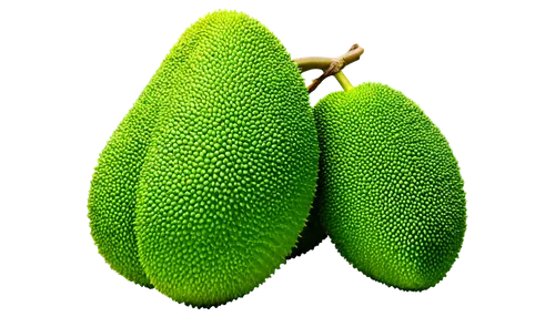 Jackfruit fruit, green skin, prickly exterior, tropical plant, large size, heavy, rounded shape, vibrant green color, leafy background, natural lighting, soft focus, shallow depth of field, warm color