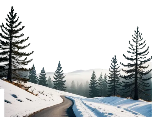 winter background,winter forest,winter landscape,snow landscape,snowy landscape,christmas snowy background,snow scene,landscape background,coniferous forest,snow trail,winter night,nature background,forest background,cartoon video game background,winter light,snowflake background,christmas landscape,background vector,black forest,winter dream,Art,Artistic Painting,Artistic Painting 22