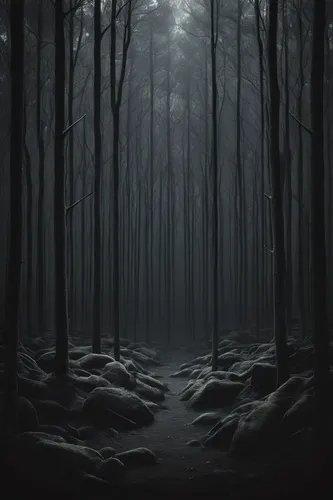 foggy forest,haunted forest,winter forest,forest dark,black forest,the forest,forest of dreams,forest background,forest,ghost forest,forest glade,germany forest,forest landscape,forest floor,the woods,elven forest,forest path,forest walk,enchanted forest,the forests,Illustration,Black and White,Black and White 32