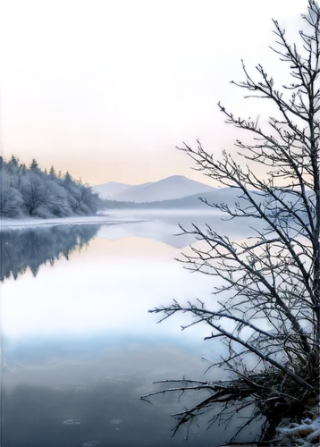 Frosty scenery, winter landscape, misty atmosphere, frost-covered trees, bare branches, snowflakes gently falling, icy mist, frozen lake, distant mountain range, soft focus, cold color tone, panoramic