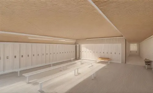 school design,lecture hall,lecture room,hallway space,daylighting,3d rendering,gymnastics room,dugout,core renovation,ceiling construction,conference room,archidaily,examination room,study room,plywoo