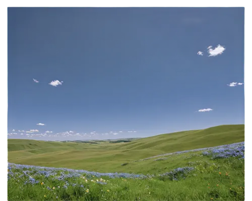 grasslands,salt meadow landscape,landscape background,alpine meadow,alpine meadows,grassland,meadow landscape,aimag,mountain meadow,blue and green,prairies,alberta,golf course background,alcan highway,jarbidge,background view nature,windows wallpaper,green and blue,uncompahgre,albertan,Illustration,Realistic Fantasy,Realistic Fantasy 24