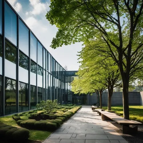 bunshaft,schulich,embl,kaist,mies,kansai university,phototherapeutics,bobst,glass facade,epfl,hallward,hochschule,insead,radboud,politecnico,office building,biotechnology research institute,julliard,yonsei,hogeschool,Illustration,Realistic Fantasy,Realistic Fantasy 46