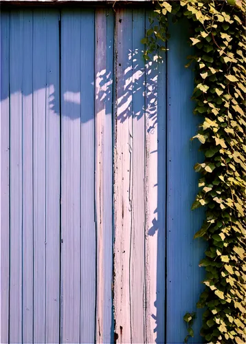 Faded asbestos siding, old house exterior, worn-out texture, cracked surface, peeling paint, rusty metal edges, damaged corners, overgrown with vines, morning sunlight, soft focus, 3/4 composition, sh