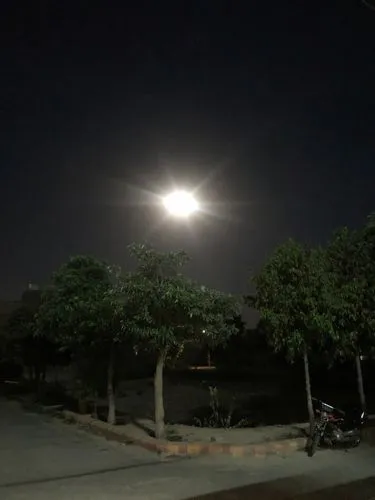 poornima,moon and foliage,moonesinghe,super moon,moonglow,full moon,moonstruck,moonwatch,jupiter moon,moon at night,big moon,full moon day,moonshining,moon photography,purnima,lune,moonlit,moonlit night,the moon,moonlighted