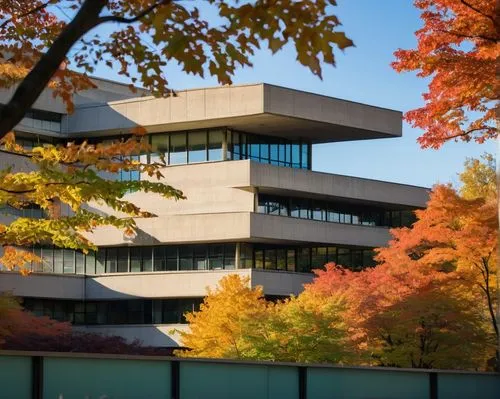 kansai university,embl,kaist,schulich,njitap,yonsei,ubc,jadwin,hallward,iimura,umbc,phototherapeutics,ohsu,gulbenkian,esade,bunshaft,macalester,cmu,krannert,uvic,Unique,Paper Cuts,Paper Cuts 05