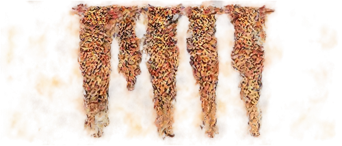 leopardskin,giraffa,animal print,fritze,cheetor,cheeta,napaltjarri,ikat,deerskins,women's legs,garridos,woman's legs,giraffes,pant,cordyceps,kemelman,cheetahs,phragmite,chair png,tigerman,Conceptual Art,Sci-Fi,Sci-Fi 13