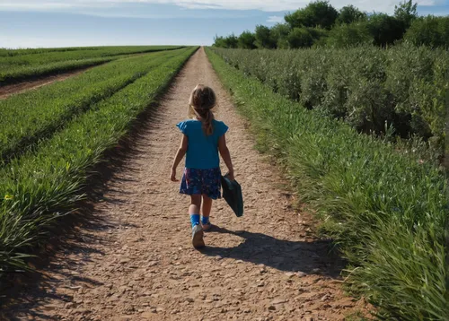 walk with the children,little girl running,little girls walking,girl walking away,provencal life,footpath,passepartout,pathway,nature trail,little girl in wind,woman walking,walking,vanishing point,walk,alentejo,field of cereals,trail,girl and boy outdoor,wheat fields,cropland,Art,Classical Oil Painting,Classical Oil Painting 30