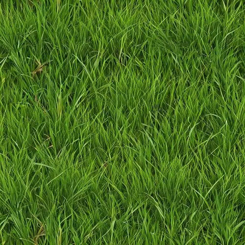 green wallpaper,zoysia,block of grass,grass,green lawn,lawn,gras,green grass,grass blades,grass grasses,golf course grass,grassy,paspalum,grassman,green background,grasslike,blades of grass,aaa,free background,frog background,Illustration,Abstract Fantasy,Abstract Fantasy 10