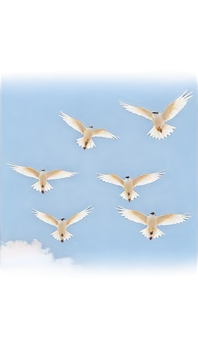 geese flying,flying geese,birds in flight,group of birds,flock of geese,birds flying,godwits,cygnes,migrating,milvus migrans,bird flight,formation flight,migratory birds,gray geese,flying birds,gaviotas,pintails,gooses,geese,aguiluz,Illustration,Black and White,Black and White 06