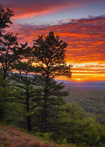 Describe a peaceful sunrise at Apple Mountain.,blue ridge mountains,vermont,appalachian trail,west virginia,great smoky mountains,shenandoah valley,new england,massachusetts,singleleaf pine,pine fores