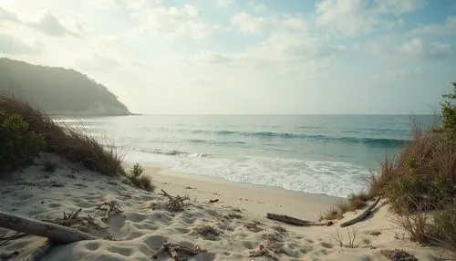 seagrove,beautiful beaches,beach landscape,dream beach,beach scenery,mountain beach,cliff beach,white sandy beach,white sand beach,beautiful beach,sunrise beach,sandy beach,sand coast,lover's beach,shipwreck beach,anse,beach grass,greens beach,castaway beach,beach erosion