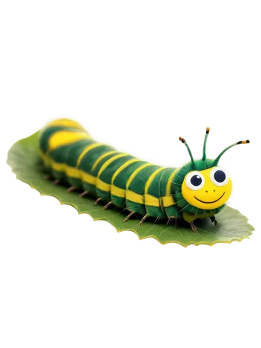 swallowtail caterpillar,butterfly caterpillar,caterpillar,sawfly,caterpillars,caterpillar gypsy,oak sawfly larva,cutworms,larva,silkworm,larval,centipede,maguey worm,hornworm,waxworm,pellworm,insect,glowworm,worm,buterflies,Photography,Fashion Photography,Fashion Photography 11