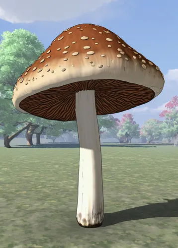 mushroom landscape,tree mushroom,mushroom type,mushroom island,forest mushroom,club mushroom,toadstool,champignon mushroom,mushroom hat,mushroom,lingzhi mushroom,toadstools,chestnut mushroom,anti-cancer mushroom,cloud mushroom,umbrella mushrooms,edible mushroom,shiitake,brown mushrooms,agaricus,Conceptual Art,Daily,Daily 35