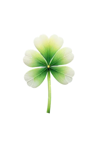 spring leaf background,4-leaf clover,four-leaf clover,five-leaf clover,four leaf clover,three leaf clover,lotus leaf,a four leaf clover,4 leaf clover,shamrock balloon,flowers png,shamrock,green wallpaper,flower wallpaper,water lily leaf,clover flower,dandelion background,lily pad,flower background,green leaf,Conceptual Art,Daily,Daily 05