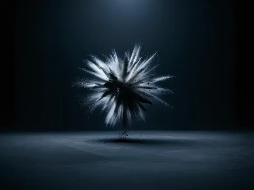 moonlight cactus,salt flower,night-blooming cactus,dandelion background,ikebana,desert flower,dandelion seeds,isolated tree,yucca,spiny,star magnolia,palm blossom,fallen flower,desert plant,cinema 4d,light painting,palmtree,lightpainting,palm tree vector,last particle