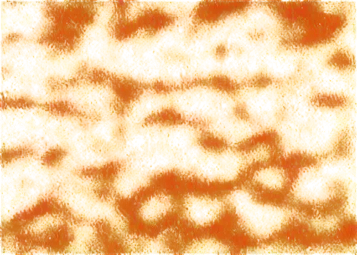 monolayer,kngwarreye,monolayers,petromatrix,seamless texture,fruit pattern,dichromate,topologist,wavelet,lava,bilayer,quasicrystal,candy corn pattern,copolymers,enterococci,aluminosilicate,background pattern,carrot pattern,acinar,marpat,Unique,Pixel,Pixel 05