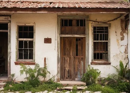 Abandoned architectural salvage yard, San Diego CA, sunny afternoon, worn wooden planks, rusty metal beams, old brick walls, distressed stone columns, vines crawling up crumbling structures, eclectic 