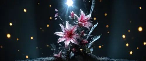 elven flower,spineflower,salt flower,fallen flower,fire poker flower,eudendrium