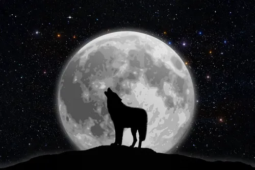 constellation wolf,howling wolf,moon and star background,canis lupus,european wolf,constellation unicorn,guanaco,gray wolf,howl,unicorn background,wolf,wolves,lunar,blackbuck,red wolf,llama,feral goat