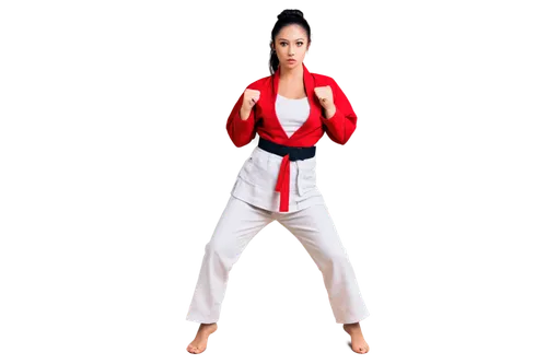 nidan,karateka,taekkyeon,karate,baguazhang,karatekas,xingyiquan,kyokushin,kempo,kata,sanshou,taekwondo,kongfu,martial arts,shotokan,gatame,katas,kajukenbo,kumite,jitsu,Photography,Artistic Photography,Artistic Photography 12