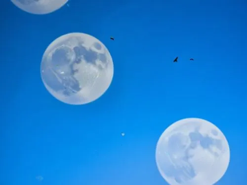 romulus,some birds flying through the sky with some moon,blue spheres,gibbous,moons,sea jellies,moon photography,moon and star background