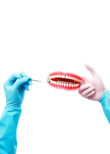 labiodental,laser teeth whitening,periodontist,interdental,dental care,dentist,periodontal,periodontitis,dentistry,periodontics,dental,prosthodontics,microsurgical,hygienist,fluorosis,dentists,osseointegration,episiotomy,orthodontists,orthodontics,Unique,Paper Cuts,Paper Cuts 05