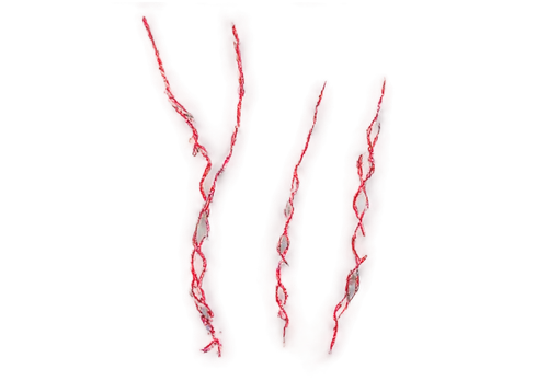 microvascular,candy canes,ristras,bloodsucker,chromosomes,realgar,twizzlers,microtubules,tubules,tribal arrows,cherry twig,arterburn,perivascular,arteriole,neurovascular,arteriovenous,intravascular,arteries,krill,tridents,Conceptual Art,Fantasy,Fantasy 29